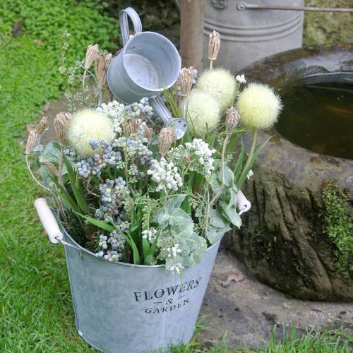 Floristik24 Ramo de flores silvestres, milenrama natural, blanco lavado 30–60cm 150g