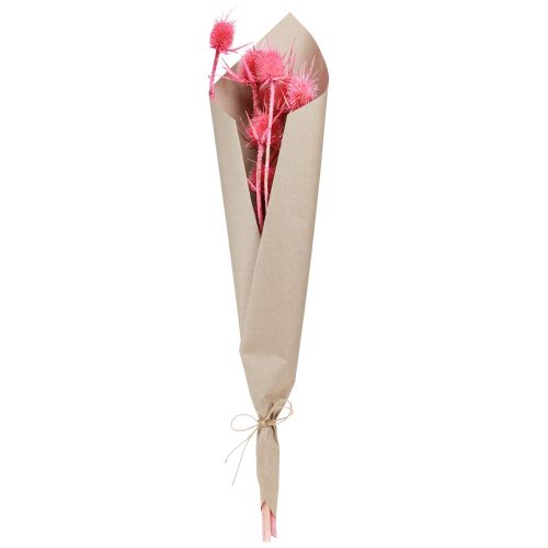 Artículo Cardo salvaje tarjeta decoración seca cardos 53cm 10 cabezas 3uds