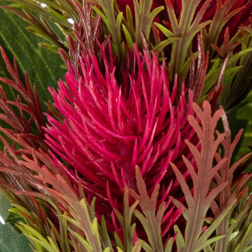 Rama de cardo rojo artificial para decoración, 67 cm, 3 piezas | Floristik24.es