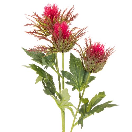 Rama de cardo rojo artificial para decoración, 67 cm, 3 piezas | Floristik24.es