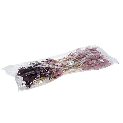 Floristik24 Lirio silvestre para decorar en tallo mixto rosa, Erika 45 piezas