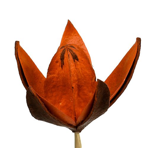 Artículo Lirio salvaje con tallo naranja 45 piezas