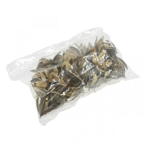 Artículo Lirio salvaje decoración natural flores secas exóticas 6-8cm 50uds