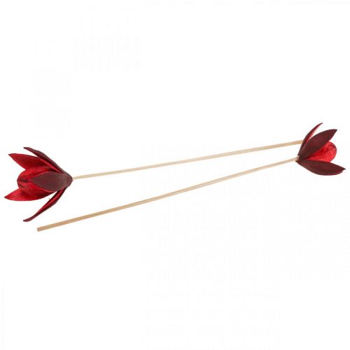 Floristik24 Lirio salvaje con tallo rojo Ø6,5cm 35cm 45 uds.