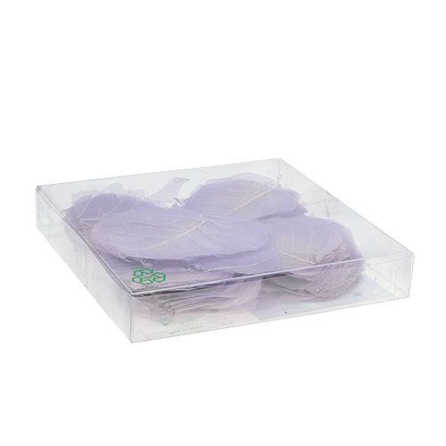 Floristik24 Hojas de sauce esqueletizadas violeta claro 200 uds.