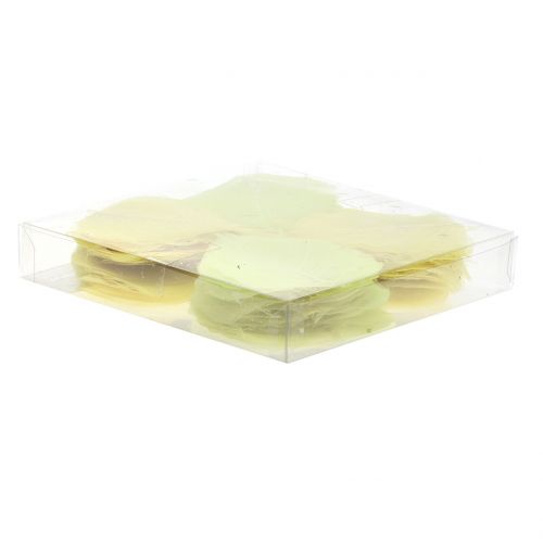 Floristik24 Hojas de sauce esqueletizadas mezcla amarilla 200uds