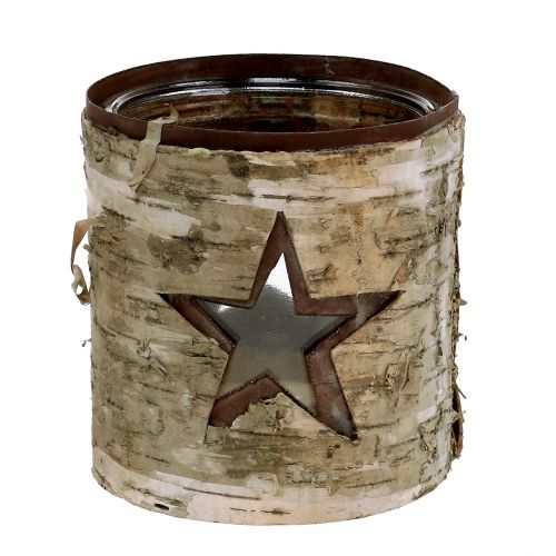 Floristik24 Wind light star con abedul Ø10,5cm H11cm 1pc