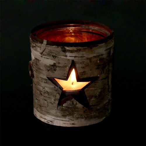Floristik24 Wind light star con abedul Ø10,5cm H11cm 1pc