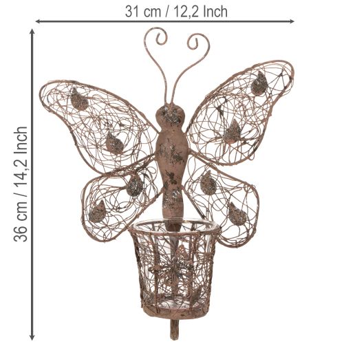 Farol metálico, decoración de pared, mariposa, acabado óxido, 36,5 cm | Floristik24.es