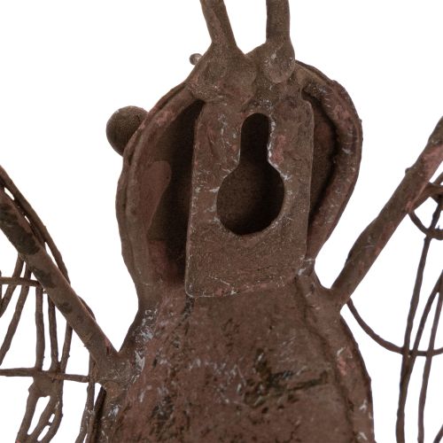 Farol metálico, decoración de pared, mariposa, acabado óxido, 36,5 cm | Floristik24.es