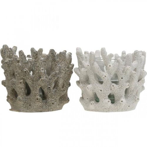 Floristik24 Farol con cristal en coral diseño decoracion marinera blanco artificial Ø9,5cm 2uds