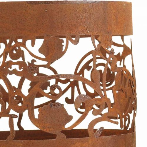 Floristik24 Linterna portavelas de metal patina Ø10/14,5cm juego de 2
