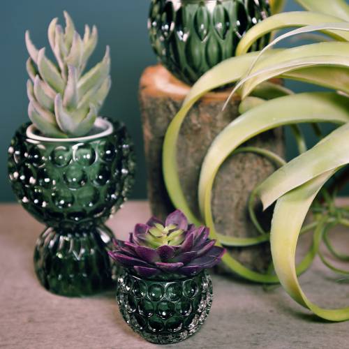 Floristik24 Farol de cristal verde oscuro Ø11,5cm H9cm 1p