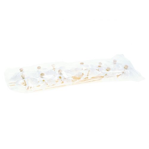 Floristik24 Molino de viento Mini Blanco Ø9cm 12pcs