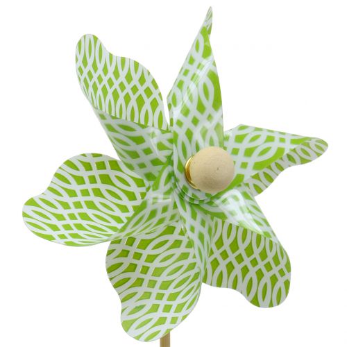 Floristik24 Molino Mini Verde-Blanco Ø9cm 12p