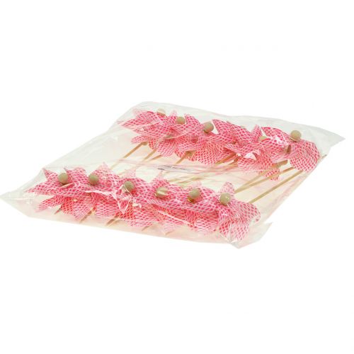 Floristik24 Molino de viento Mini Rojo-Blanco Ø9cm 12pcs