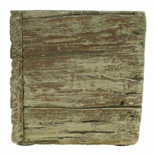 Floristik24 Macetero cuadrado 12x12cm cemento cubo aspecto madera