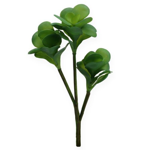 Floristik24 Plantas artificiales Desert Cabbage Green 25cm 3pcs