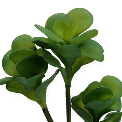 Floristik24 Plantas artificiales Desert Cabbage Green 25cm 3pcs