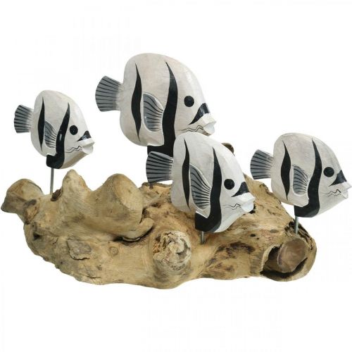 Soporte de madera de raíz de pie de pez deco maritime deco 38cm
