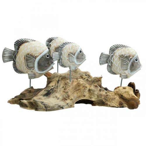 Floristik24 Peces decorativos en madera de raíz Figuras decorativas marítimas marrón 38cm