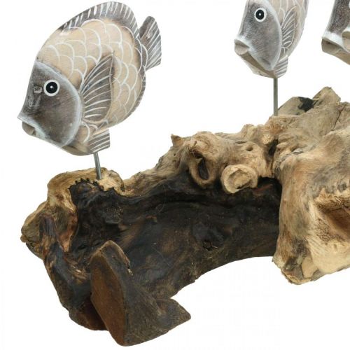 Artículo Peces decorativos en madera de raíz Figuras decorativas marítimas marrón 38cm