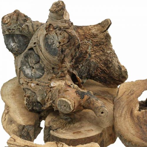 Floristik24 Raíz madera deco madera piezas de madera decoración dispersa 3-10cm 500g