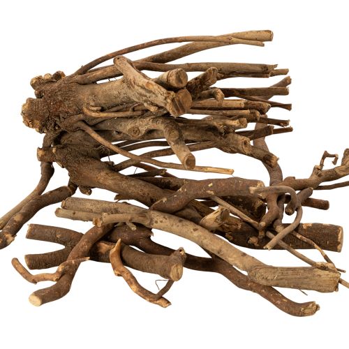 Ramas y portainjertos decorativos de madera, secados naturalmente, 18 cm, 500 g