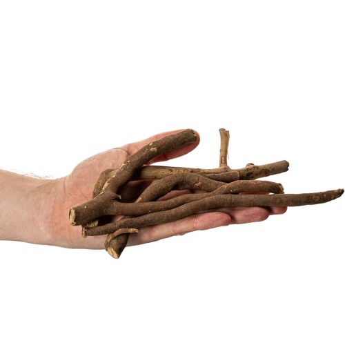Ramas y portainjertos decorativos de madera, secados naturalmente, 18 cm, 500 g | Floristik24.es
