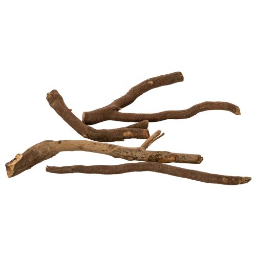 Ramas y portainjertos decorativos de madera, secados naturalmente, 18 cm, 500 g | Floristik24.es