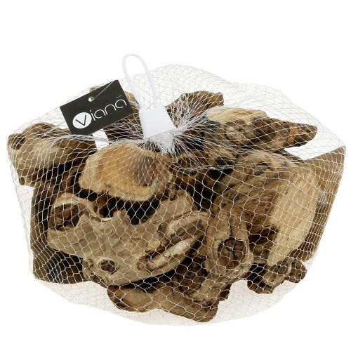 Floristik24 Piezas de raíz natural 500g
