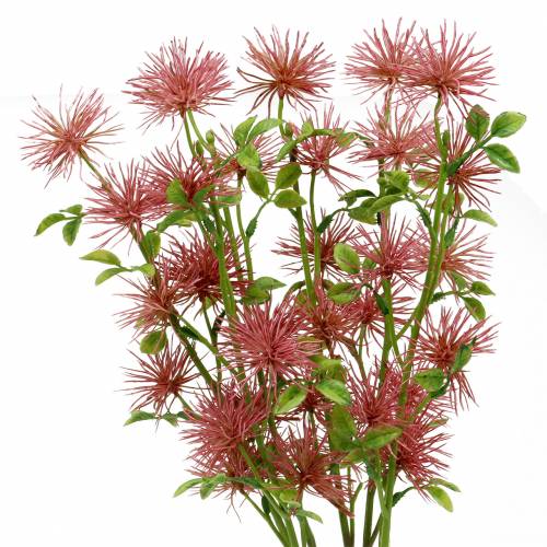 Floristik24 Flor de seda xanthium rosa palo 53cm 6uds