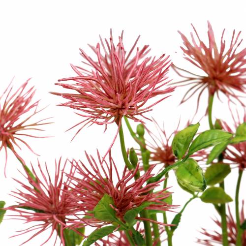 Floristik24 Flor de seda xanthium rosa palo 53cm 6uds
