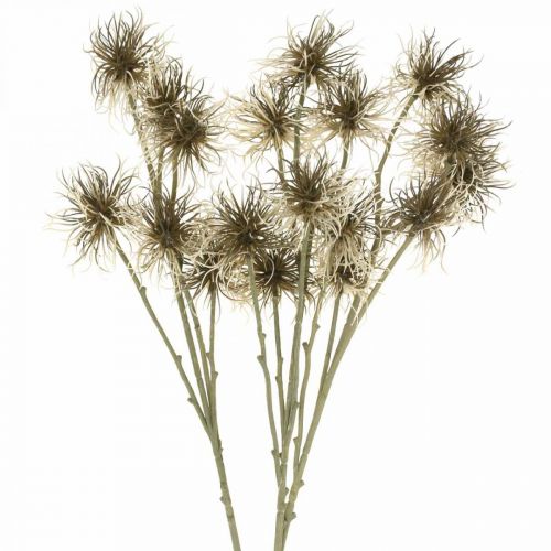 Floristik24 Xanthium flor artificial decoración otoñal 6 flores crema, marrón 80cm 3ud