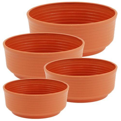 Floristik24 Plastico Z-bowl Ø 16cm - 22cm 10 piezas