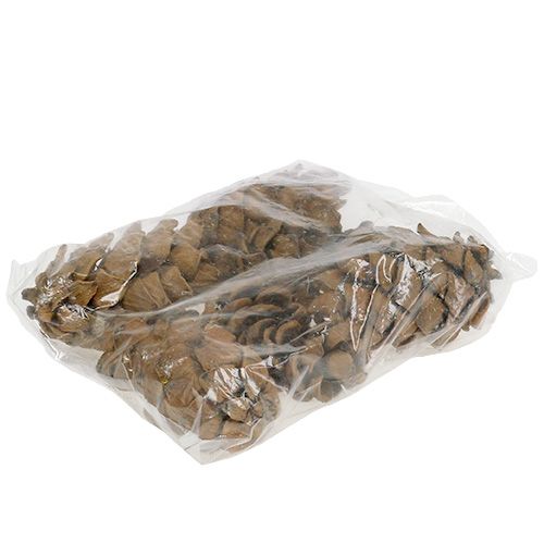 Floristik24 Conos naturaleza 9cm - 10cm 6uds