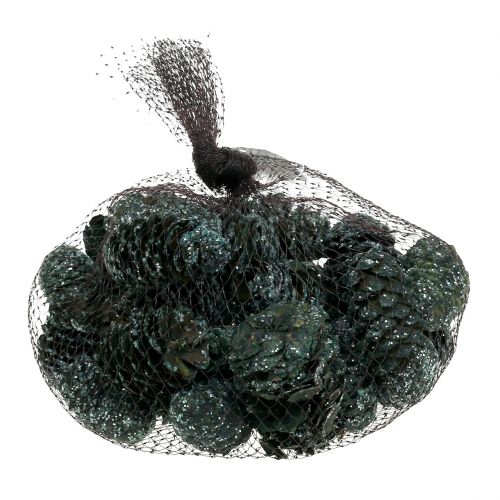 Floristik24 Mezcla de conos verde helado 200g