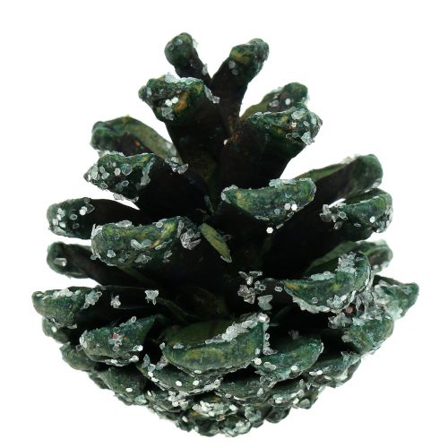 Floristik24 Piñas de pino verde helado 200g