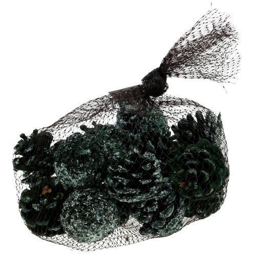 Floristik24 Piñas de pino verde helado 200g