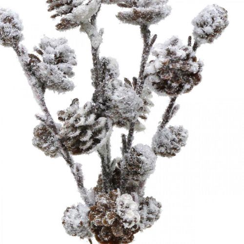 Artículo Ramas navideñas rama cónica cubierta de nieve 30 cm 5 piezas en un paquete