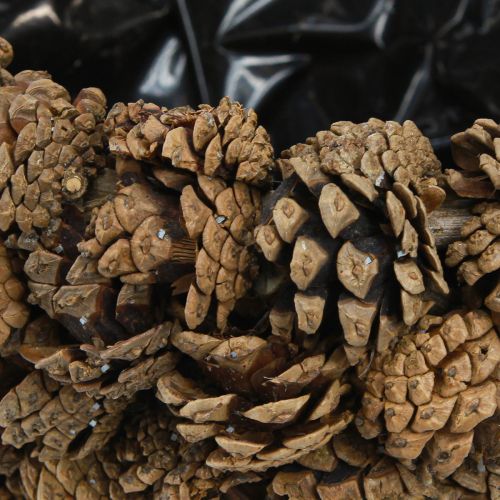 Artículo Cesta de cono para plantas, piñas naturales, Ø33cm H17cm