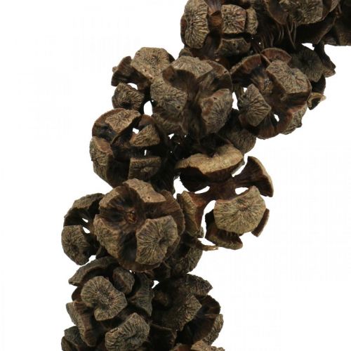 Floristik24 Corona cono ciprés corona cono para colgar naturaleza Ø25cm