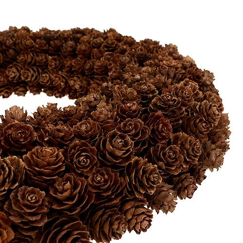 Floristik24 Corona cono Ø31cm marrón