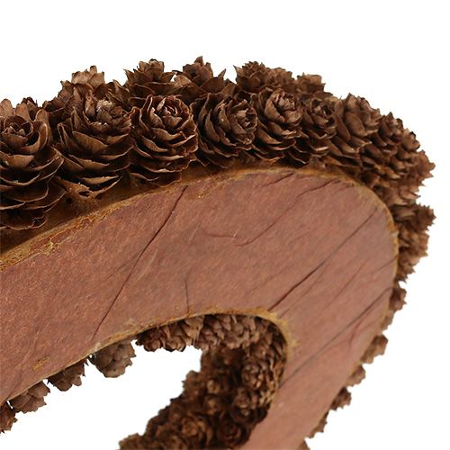 Floristik24 Corona cono Ø31cm marrón