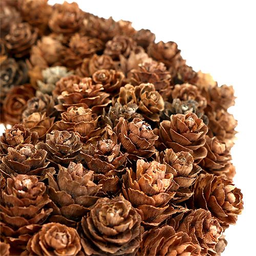 Floristik24 Conos de conos de aliso Ø27cm naturaleza