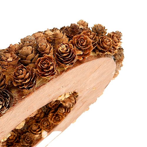 Floristik24 Conos de conos de aliso Ø27cm naturaleza