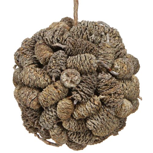 Floristik24 Bola cónica para colgar piñas de aliso blanqueadas 12cm