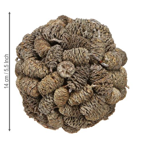Artículo Bola cónica para colgar piñas de aliso blanqueadas 12cm