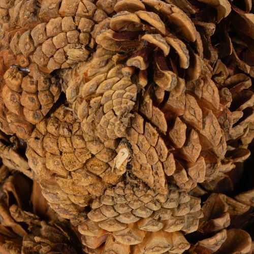 Maceta con forma de piña,