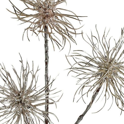 Artículo Rama de hamamelis champagne 45cm 3uds